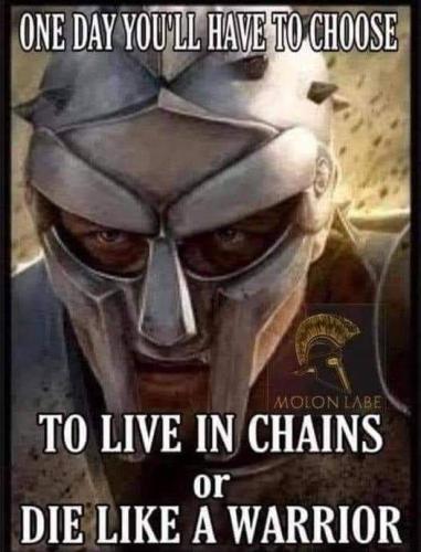 FB_IMG_1707892725266