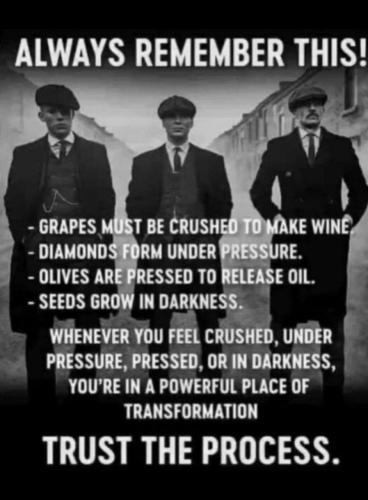 IMG_20240227_173439_243