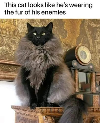 FB_IMG_1709169709527
