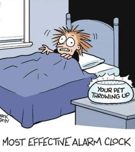 most effective
