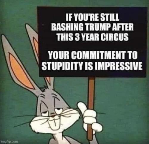 photo_2024-02-19_11-50-14