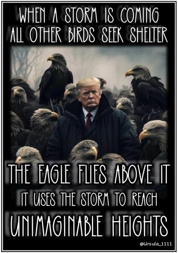 sngine_6733283c4e5fd959918ff3b65f950f7c