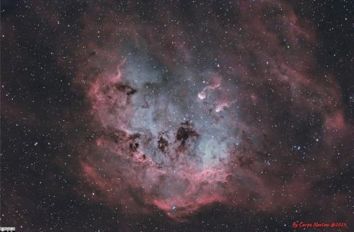 IMG_20240203_165042_033
