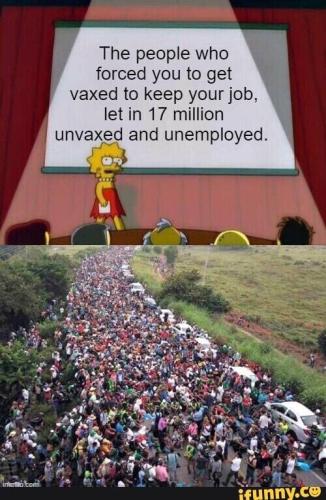 sngine_7a6a6f0c9d3b029d7aeca9e891385a21