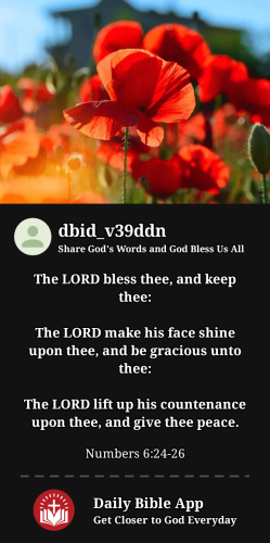 2024-02-031707019739308