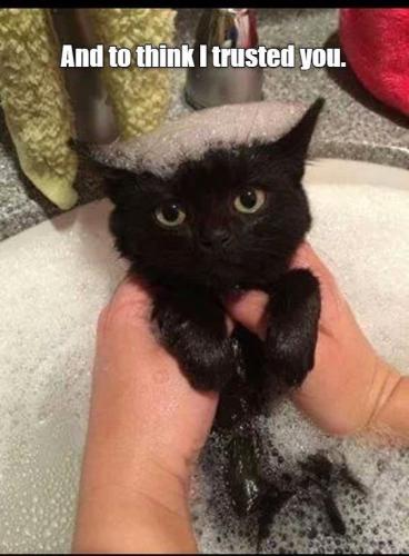 82f254fec8d7cea8fa69835da27c9bd2