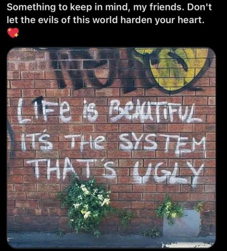 sngine_161caf941ac3100b14c473ca37190497