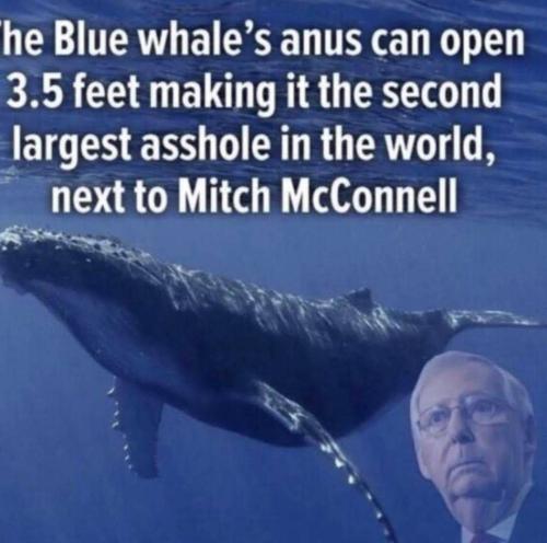 IMG_20240214_212606_453