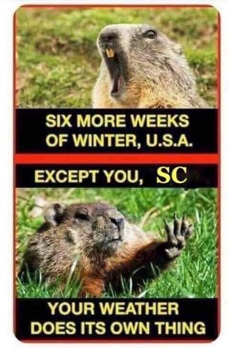 FB_IMG_1708330273123