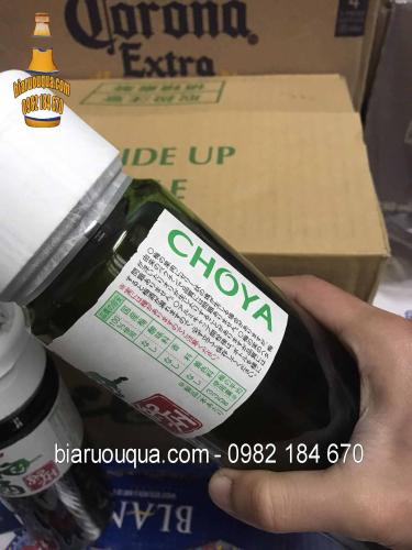 ruou-mo-xanh-nhat-choya-umeshu-kishu-14-gia-re-ha-noi7