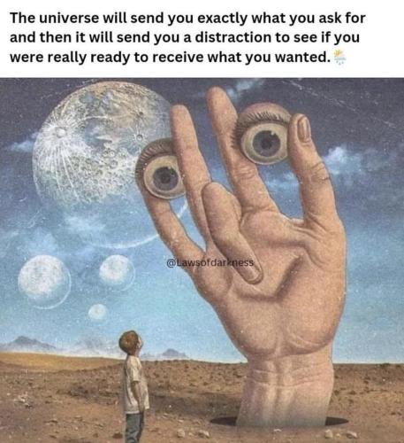 429893504_2040221203021773_7780578885450905939_n