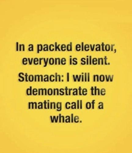 19256a146b09bb36bfb16669dbbb5403