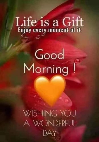 FB_IMG_1707056497940