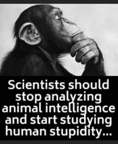 FB_IMG_1708260021963