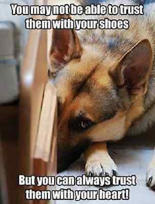 5668f90b08b2e8bb583675912da6839f