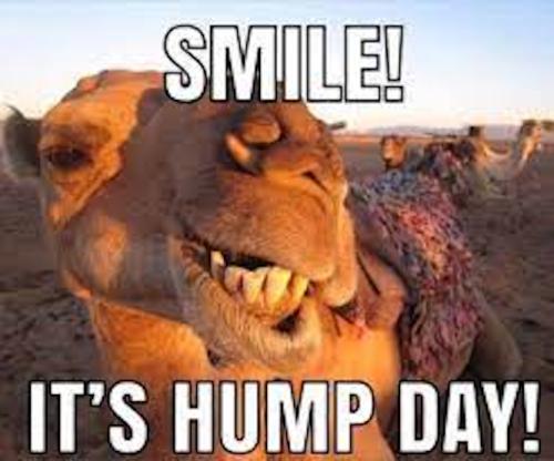 1-Hump Day