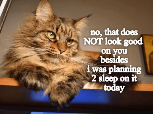 10d5260593a3a64cf86dd88e0bfadb8d