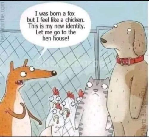 428638801_924214992701756_8663076114636836996_n