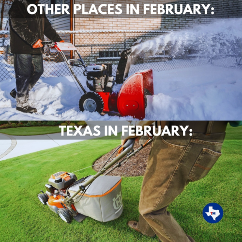 Screenshot 2024-02-22 073248