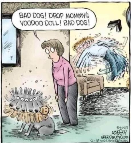 427760644_3150866825050035_6551498233193555887_n