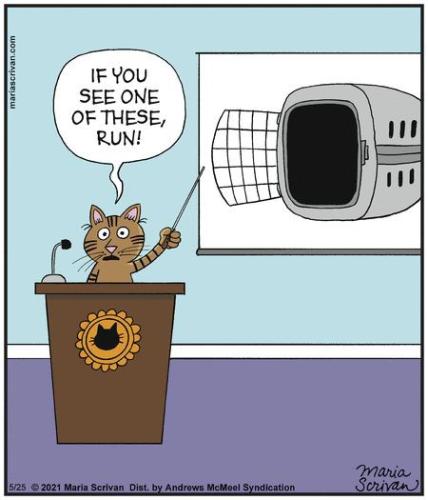 6f1861a7042f58a8d08cd6a9d215c722