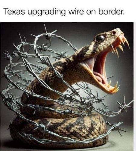 FB_IMG_1708117647355