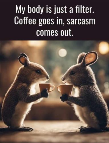 425402352_7370433673018648_7735905748523590664_n