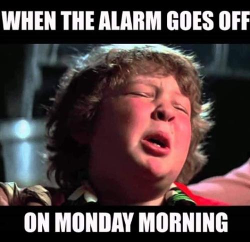 FB_IMG_1707742112702