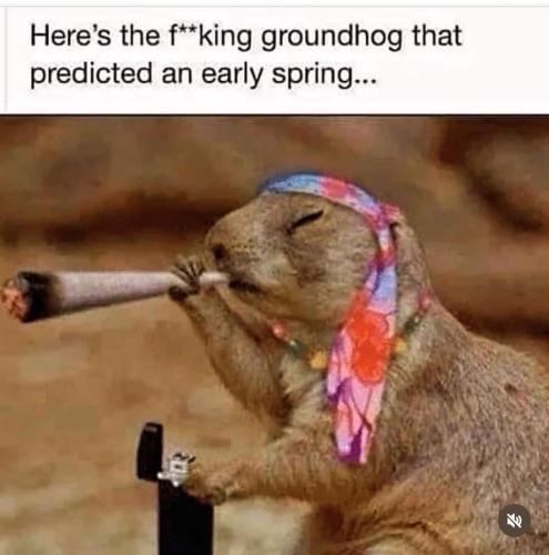 FB_IMG_1706992117442