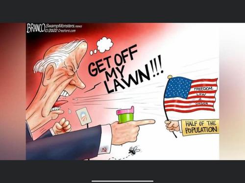 half the population get off my line fascist joe biden branco cartoon