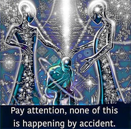 428206815_407045765007804_7577950635184039144_n