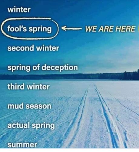 fools spring