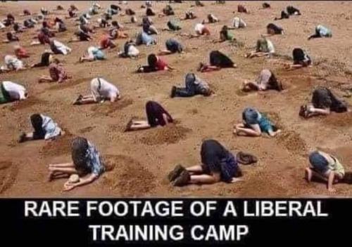 FB_IMG_1707835869826