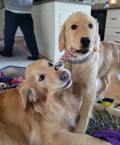 73F873A1-4154-4532-9056-6731F0C950C8