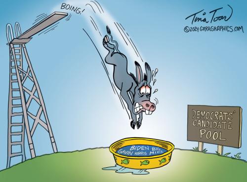 2024-Democrats_take_a_dive-1536x1135