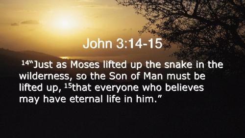 John 3_14-15