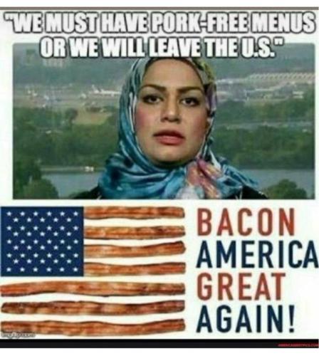 IMG_20240211_095100_396