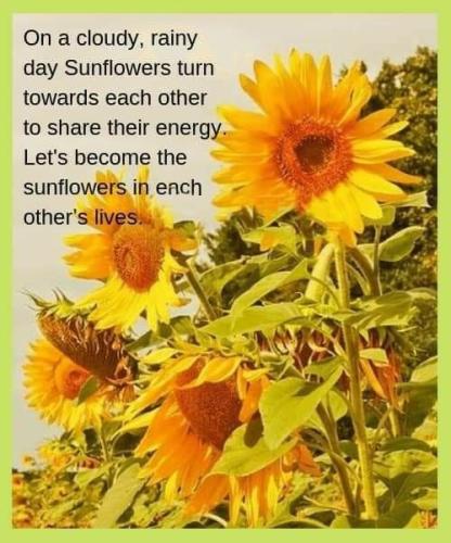 426545277_302628166154578_4473873994249161101_n