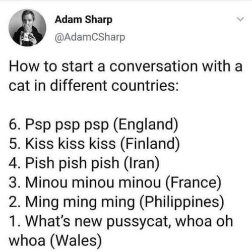 272885328_7665524450139593_5197328875339152960_n