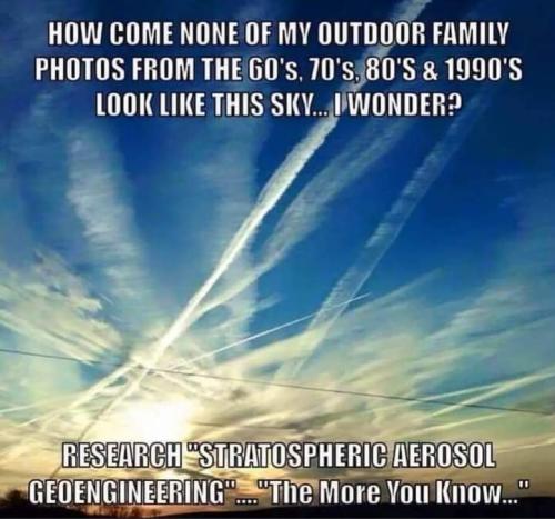 FB_IMG_1708456333737