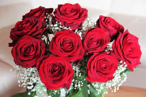bouquet-of-roses-1336993_1280