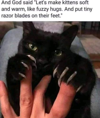 FB_IMG_1708224376129