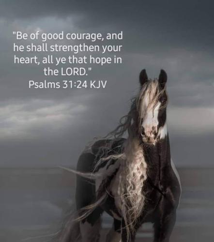 baf14cec-f1ac-47d7-8342-9051a8c6e36e