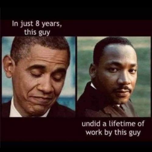 InstaFit_17081914466919055447862195935998