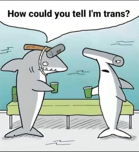 FB_IMG_1708112481228