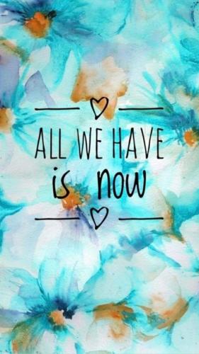 428140964_1054907675585819_8548291476594422502_n