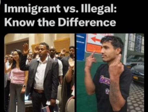 Immigrant vs Illegal 1