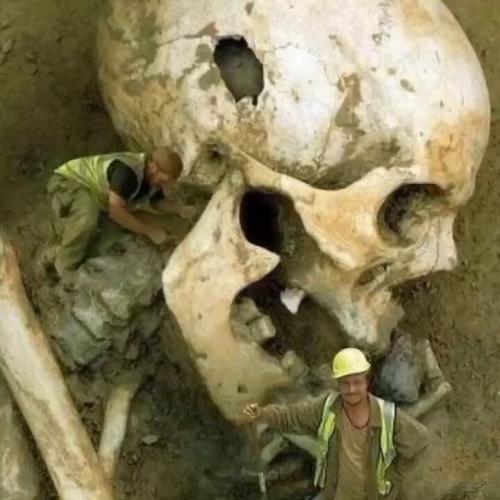 IMG_20240218_170553_654