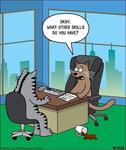 FB_IMG_1707314830911