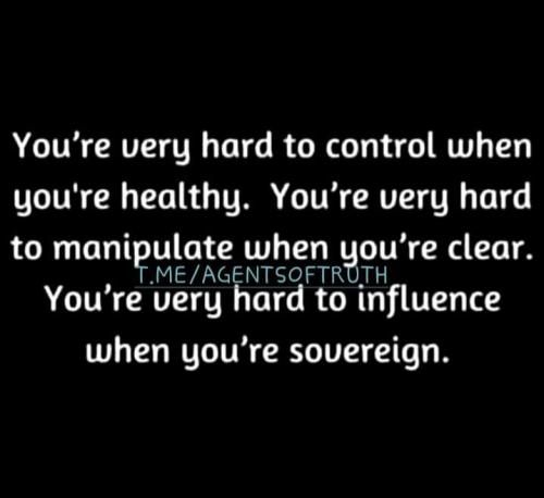 IMG_20240205_044933_891